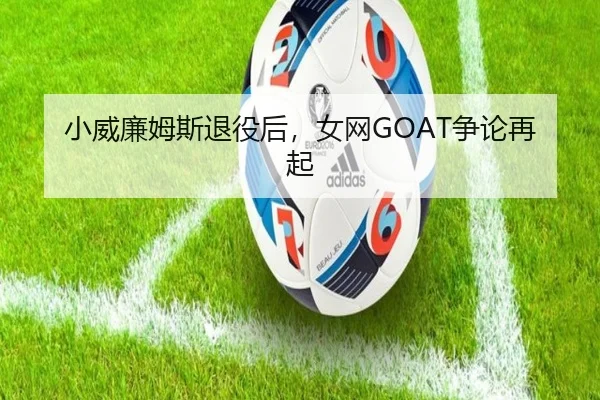 小威廉姆斯退役后，女网GOAT争论再起